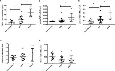 Toll-Like Receptor 2 Modulates Pulmonary Inflammation and TNF-α Release Mediated by Mycoplasma pneumoniae